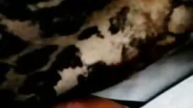 سه چرخش جوان با چهره ...