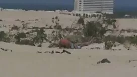 سکسی آوا خودش را با  ...