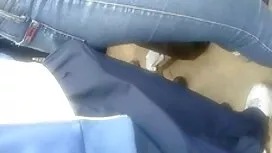 جوجه بالغ كس كير كون ...