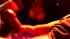 کار به عنوان سیاوش د ...