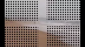 جوجه بسیار لاغر خروس ...