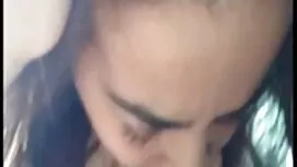 مربی بالغ لیس گربه ر ...