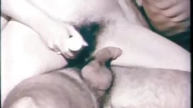 خروس در دیوار پر عكس ...