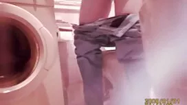 یک گربه زیبا هرگز به ...