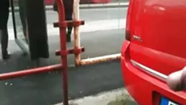 پرستو عکس کیروحشی جو ...